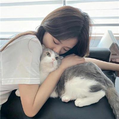 加菲猫2